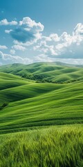 Poster - Green rolling hills of Tuscany landscape