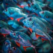 ocean fish close-up, school of fish swimming undewater, blue and bright red color palette