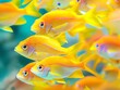 ocean fish close-up, school of fish swimming undewater, orange and bright yellow color palette