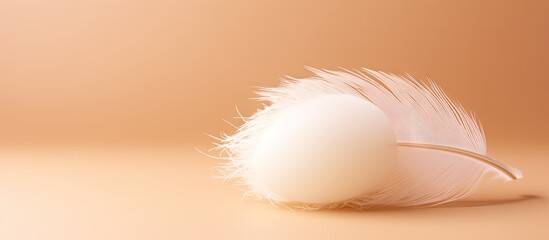 Poster - White quill on neutral backdrop