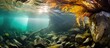 Sunlight filters through water into rocky cave