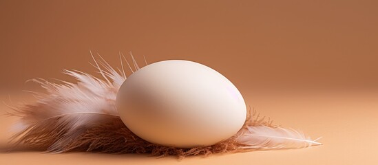 Poster - Egg on Feather on Brown Surface