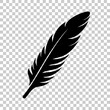 Bird feather icon or logo. Vector illustration isolated on transparent background