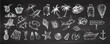 © Mariia Mazaeva - Hand-drawn sketch set of travel icons. Sea Tourism and adventure icons on chalkboard background. Сlipart with travelling elements.