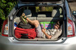 Cute little boy laying on the back of the bags and baggage in the car trunk ready to go on vacation with happy expression. Kid resting playing on smartphone