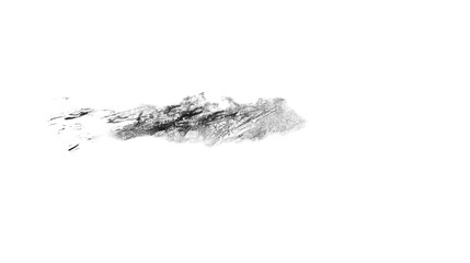 Poster - Black stain brush