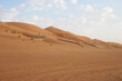 Sand dunes scene