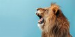 shocked lion, with open mouth, isolated on left side of pastel blue background with copy space
