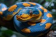 Burmese Python: Coiled around a tree branch with a distinctive pattern, representing exoticism.