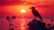 A Lone Crow Stands On A Rock As The Sun Sets Over The Ocean. The Sky Is A Brilliant Orange And Pink, And The Water Is Calm And Still.