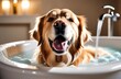 Joyful golden retriever enjoying a bubbly bath, bathtub filled with soap foam
