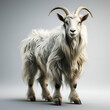 White goat with long horns on a gray background. 3d rendering