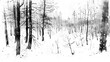 Illustration , black and white landscape, sketching forest,  horizontal poster