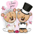 Teddy Bride and Teddy groom on a pink background