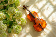 Still life with violin and beautiful light green hydrangea flowers.