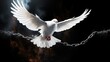 A graceful white dove is bound by a chain, symbolizing captivity and restriction