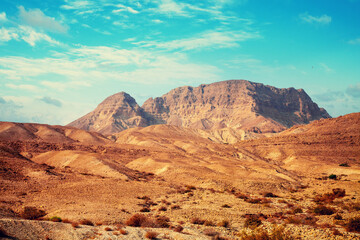 Wall Mural - Mountain landscape on a sunny day. Negev Desert. Wildlife of Israel