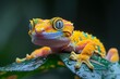 Crested Gecko: Climbing on a leafy branch with vibrant colors, ideal for reptile lovers.