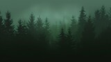 A dense fog veils a dark forest of coniferous trees, creating a mysterious and moody atmosphere.