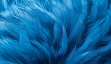Blue Fur Texture Close-up Beautiful Abstract Feather Background
