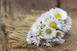 daisies on wooden background - close up