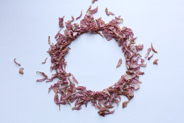 Wall Mural - a circle frame made of dried sakura petals on white background,