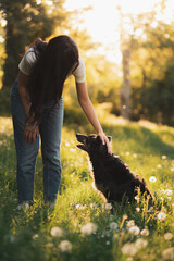 Wall Mural - cute old border collie dog being pet on the head by a young woman wearing jeans in a park in the spring