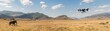 © Shutter2U - AGI-driven drones conducting wildlife research and conservation, tracking animal movements and habitat changes