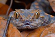 Gaboon Viper: Camouflaged among leaves, highlighting its intricate pattern and large fangs.