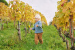 Outdoor portrait of adorable toddler boy playing in autumn vineyards, happy and active lifestyle