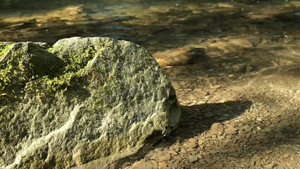 Wall Mural - Big rock with beautiful texture in mountain river. Beauty of wild mountain nature, clean water in stream