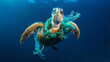 Tortue marine prise dans les mailles d'un filet de pêche dû à la pollution des océans