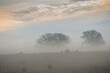 Heavy fog over a rural landscape with field and trees on an early winter morning with sunrise coloring the clouds above