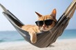 Chill ginger cat lounges in hammock, wearing shades, at idyllic beach   cool, laid back vibes