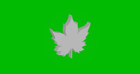 Poster - Animation of rotation of a white maple leaf symbol with shadow. Simple and complex rotation. Seamless looped 4k animation on green chroma key background
