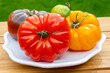 Variety of colorful tasty ripe french tomatoes from farmers market in Brittany on plate, close-up