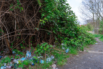 Pollution of the planet, litter in the park and forest area 