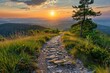 Trail to Mountain Top with Sun, Danzwiesen, Milseburg, Rhon Mountain Range, Hesse