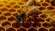 Image of a honey bee on a honeycomb in an apiary, World Bee Day concept.