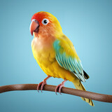 Fototapeta Koty - Image of lovebird on clean background. Bird. Animals. Pet. Illustration, Generative AI.