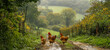 Vibrant roosters and hens foraging in a sunlit garden