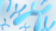 Chromosome. Blue color. 3d illustration.