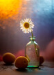Chamomile in a glass bottle and a wet window after rain and sun rays