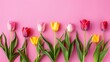 vibrant spring tulips on pink background flat lay top view floral greeting card