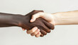 Handshake between two diversity people, inclusive relationships and partnerships