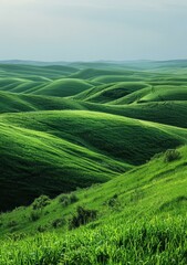 Wall Mural - b'lush green rolling hills'