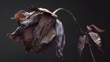 Fototapeta Perspektywa 3d - photo of a wilting flower, its drooping petals and decaying form creating an abstract study of impermanence, suitable for a conceptual art exhibit.