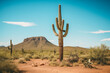 Towering saguaro cactus standing sentinel in the arid desert landscape of the American Southwest
