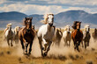 Herd of wild horses galloping freely across a windswept prairie