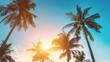 clear sky and coconut trees silhouette at sunset serene beach and summer vibe vacation getaway concept